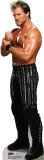 Chris Jericho Stand Up