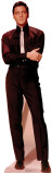 Elvis Presley Stand Up