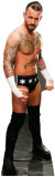 CM Punk - WWE Stand Up