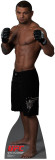 Thiago Alves - UFC Stand Up