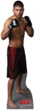 Jeremy Stephens - UFC Stand Up
