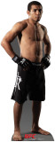 Jose Aldo - UFC Stand Up