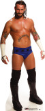 CM Punk Stand Up