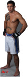 Joe Brammer - UFC Stand Up