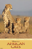 Disney Nature/ Guepardo Plakat Disney Nature/ Guepardo Plakat