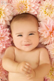 Baby Love - Baby Poster