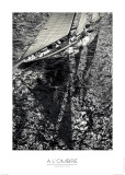 A L'ombre Kunstdrucke von Guillaume Plisson