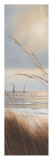 Sailboat Breezeway Panel II Posters by Diane Romanello