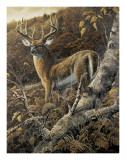 Duke of Autumn Póster por Duane Geisness