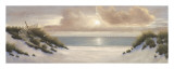 Summer Moments I Affischer av Diane Romanello