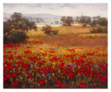 Italian Poppy Vista I Prints by Ahn Seung Koo Italian Poppy Vista I Prints by Ahn Seung Koo