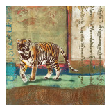 Serengeti Tiger Prints by Fischer & Warnica