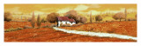 Rosso Papavero Posters av Guido Borelli