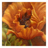 Orange Poppy Posters por Nicole Etienne