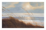 Sailboat Breezeway Prints by Diane Romanello