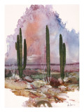 Diseños del desierto Arte por Adin Shade Diseños del desierto Arte por Adin Shade