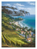 Vineyard Village by the Sea Arte por Sung Kim