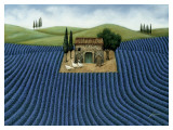 Campo de lavanda Láminas por Lowell Herrero