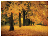 Gold of Autumn East Art by M. Ellen Cocose