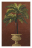 Potted Palm Red III Posters by Welby