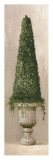 Florentine Topiary II Posters by Welby 