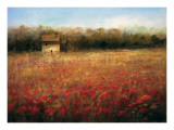 Sparkling Field Lámina por Ken Hildrew Sparkling Field Lámina por Ken Hildrew