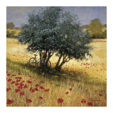 Under the Tree Posters par Steve Thoms
