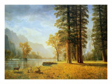 Hetch Hetchy Valley, California Láminas por Albert Bierstadt