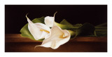 Calla Lillies on Ledge Art by Patrick Farrell
