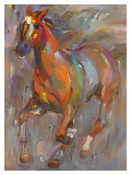 Stellar Steed Arte por Hooshang Khorasani Stellar Steed Arte por Hooshang Khorasani