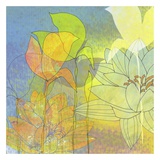 Lily Shadows Posters por Jan Weiss Lily Shadows Posters por Jan Weiss