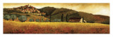 Olive Season in Tuscany Posters by Santo De Vita