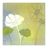 Poppy Shadows II Posters af Jan Weiss