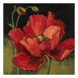 Poppy Blossom I Poster af Barbara Mock