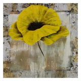 Poppy Yellow Prints by Timo 