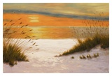 Summer Sunset Prints by Diane Romanello