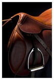 English Saddle II Prints by Robert Dawson