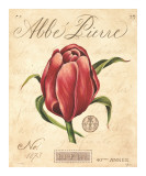Abbe Pierre Arte por Constance Lael Abbe Pierre Arte por Constance Lael