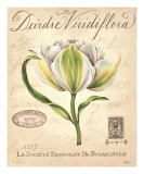 Deirdre Viridiflora Láminas por Constance Lael
