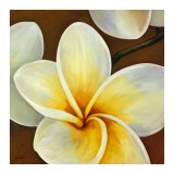 Frangipani II Póster por Clunia Frangipani II Póster por Clunia