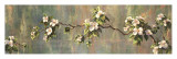Dogwood Series Láminas por Art Fronckowiak