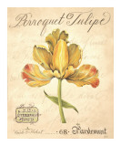 Perroquet Tulipe Láminas por Constance Lael Perroquet Tulipe Láminas por Constance Lael