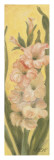 Shell Pink Gladiolus Affiche par Shari White