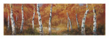 Autumn Birch I Posters por Art Fronckowiak Autumn Birch I Posters por Art Fronckowiak