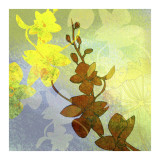 Orchid Shadows II Poster van Jan Weiss