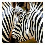Zebra Close-up Prints by Arcobaleno 