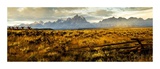 Robert Dawson - Wyoming Morning Panel - Reprodüksiyon