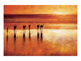 Camel Crossing Giclee Print by Jonathan Sanders