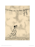 Spotty Dog And Socks Giclee Print by JOMAC 