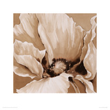 Sepia Summer II Giclee Print by Maggie Thompson